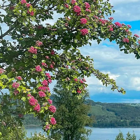 Nyaraló Antique House With View Near Lillehammer Fryjordet
